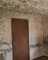pared contaminada por moho debido a la humedad por condensación
